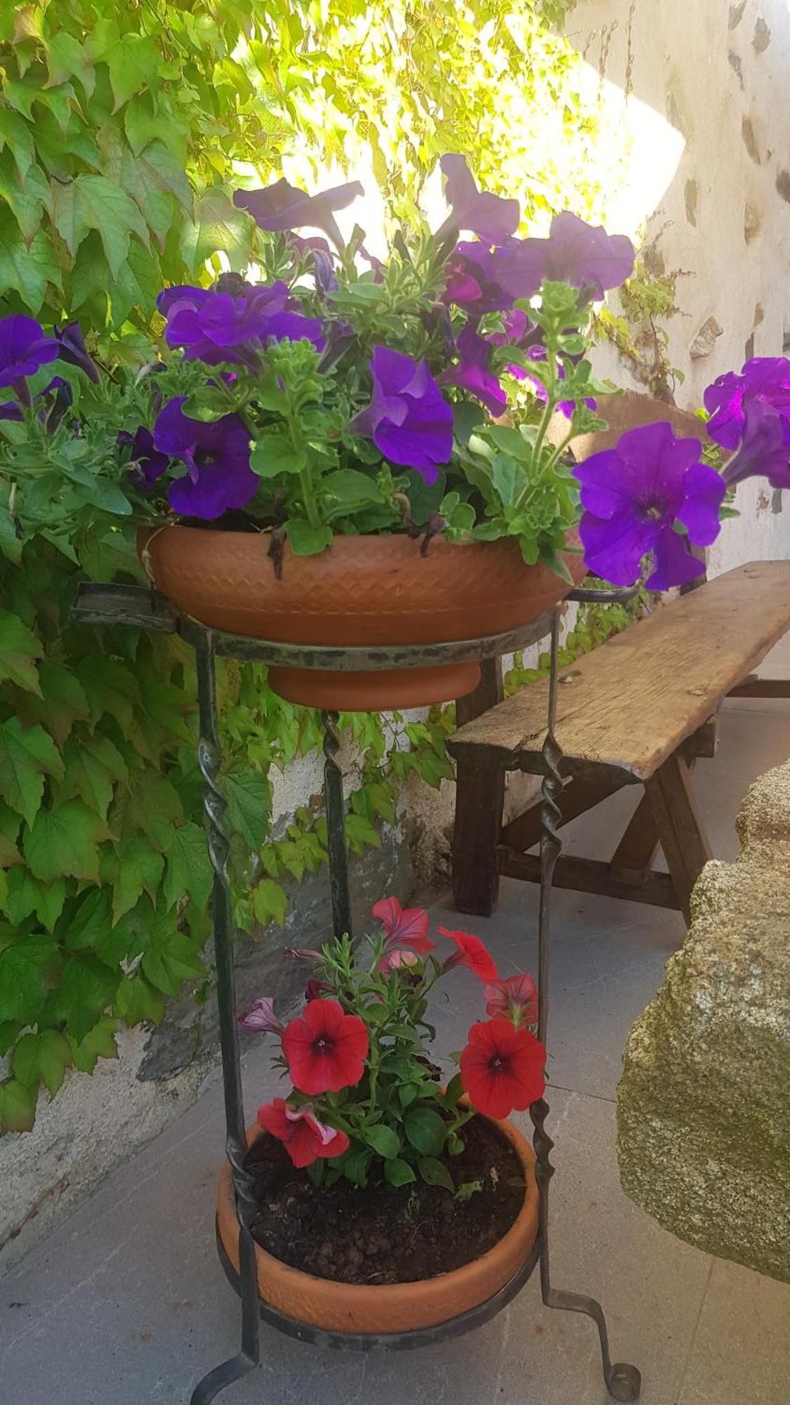 Rincon Country house